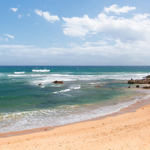 mechanic in Ocean Grove